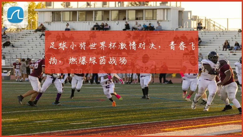 足球小将世界杯激情对决，青春飞扬，燃爆绿茵战场