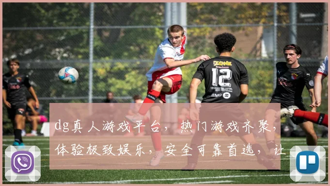 dg真人游戏平台，热门游戏齐聚，体验极致娱乐，安全可靠首选，让您畅玩无忧。