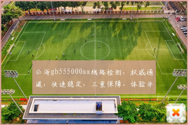 公海gh555000aa线路检测，权威通道，快速稳定，三重保障，体验非凡